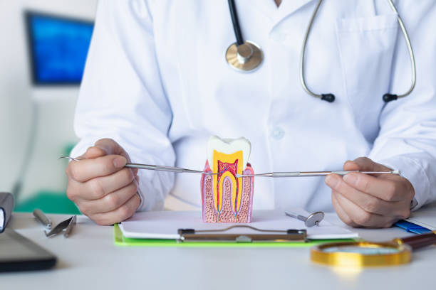 Best Emergency Root Canal Treatment in Atglen, PA